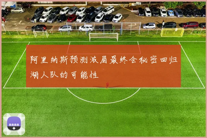 阿里纳斯预测浓眉最终会秘密回归湖人队的可能性
